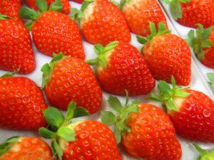 北海道のいちごのいちご大福|hokkakidou_ichigo-ichigodaifuku