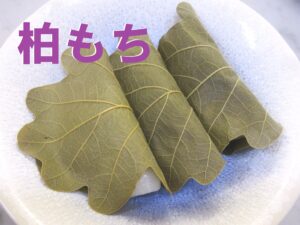 こざかいとらやの柏餅｜kozakaitorayanokashiwamochi