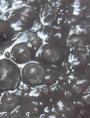 豊川市こざかいとらやの水ようかん|餡