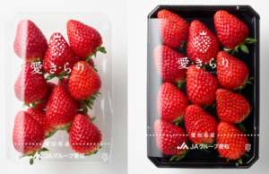  ふわ路ろ羽二重いちご「 ai kirari 」 itigo daihuku