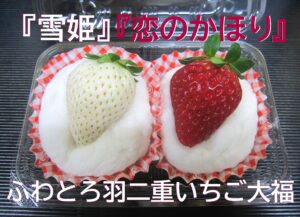 こざかいとらやふわとろ羽二重いちご大福「恋のかほり」白い苺「雪姫」 希少な苺です｜kozakaitoraya｜fuwatorohabutaeichigodaifuku-koinokahori-yukihime