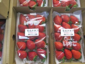 愛知県豊川市限定ブランドいちご「恋のかほり」｜toyokawagentei_burando_ichogo_koino kahori
