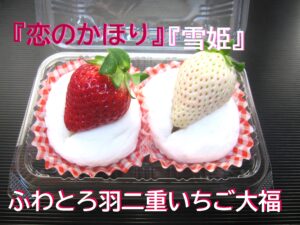 こざかいとらやふわとろ羽二重いちご大福「恋のかほり」白い苺「雪姫」 希少な苺です|kozakaitoraya|fuwatorohabutaeichigodaifuku-koinokahori-yukihime