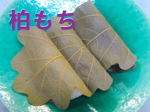 豊川市のこざかいとらやの美味しいもちもち柏餅｜toyokawashi|nokozakaitoraya|oishiikashiwamochi
